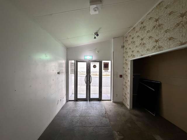 17 Carlyle Street Napier South_1