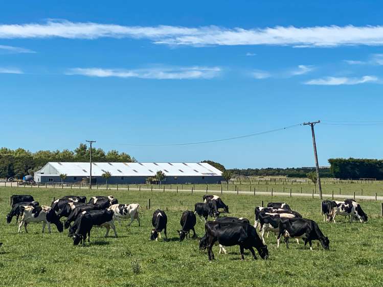 179 Dunlop Street Wallacetown_17