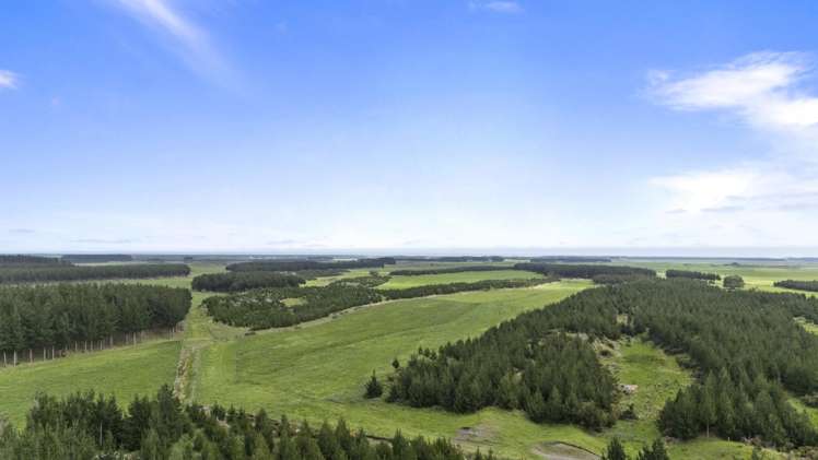 Santoft Road Bulls_7