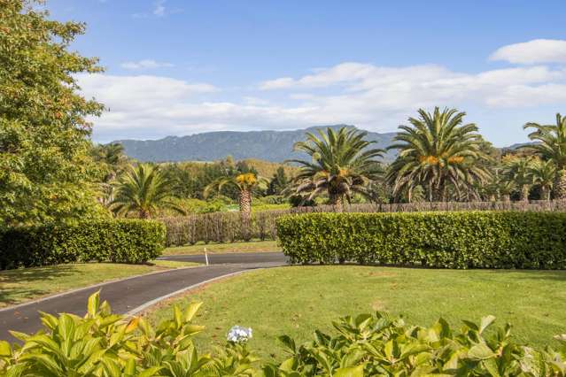 387 Wright Road Aongatete_1