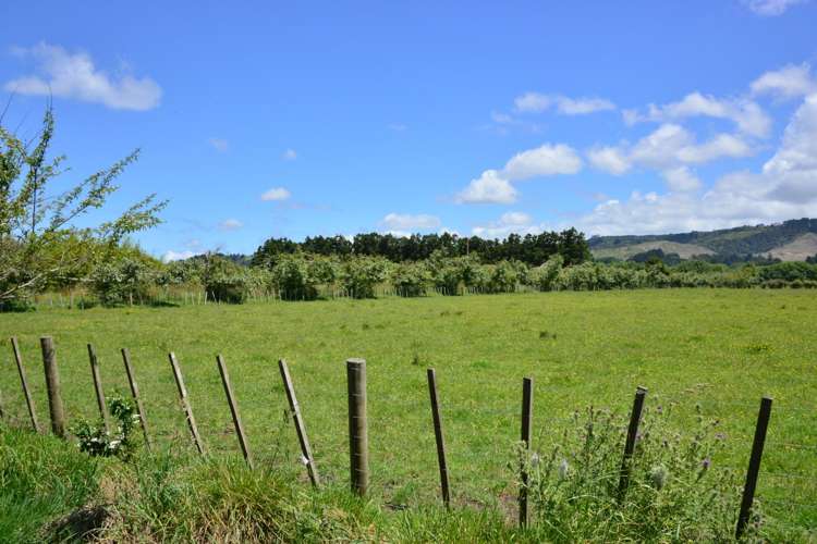 464 Woodcocks Road Warkworth_13