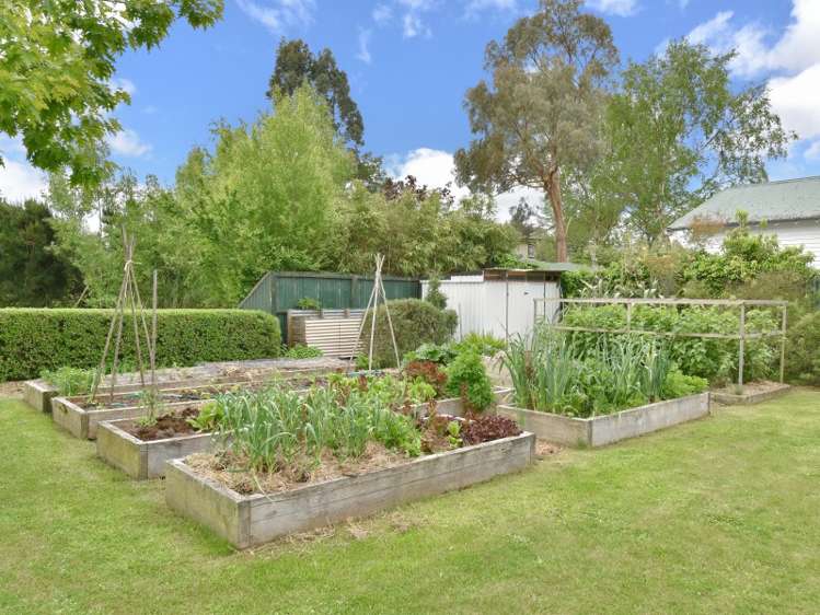 136 Kings Road Leithfield_15