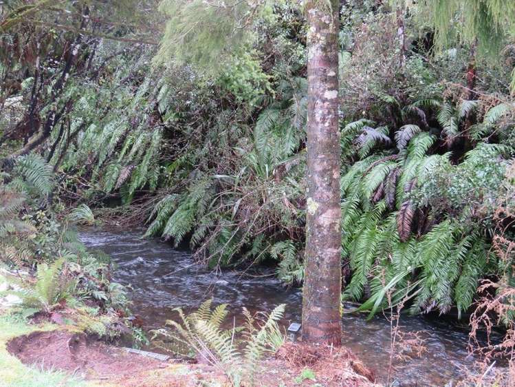 27 Uwha Road Owhango_7