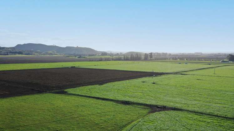 85 West Road Havelock North_9