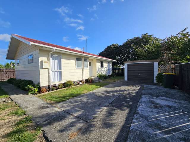 7a Guy Avenue Levin_4