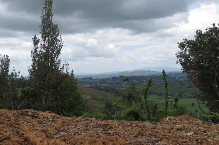 Waitomo Valley Road Otorohanga_10