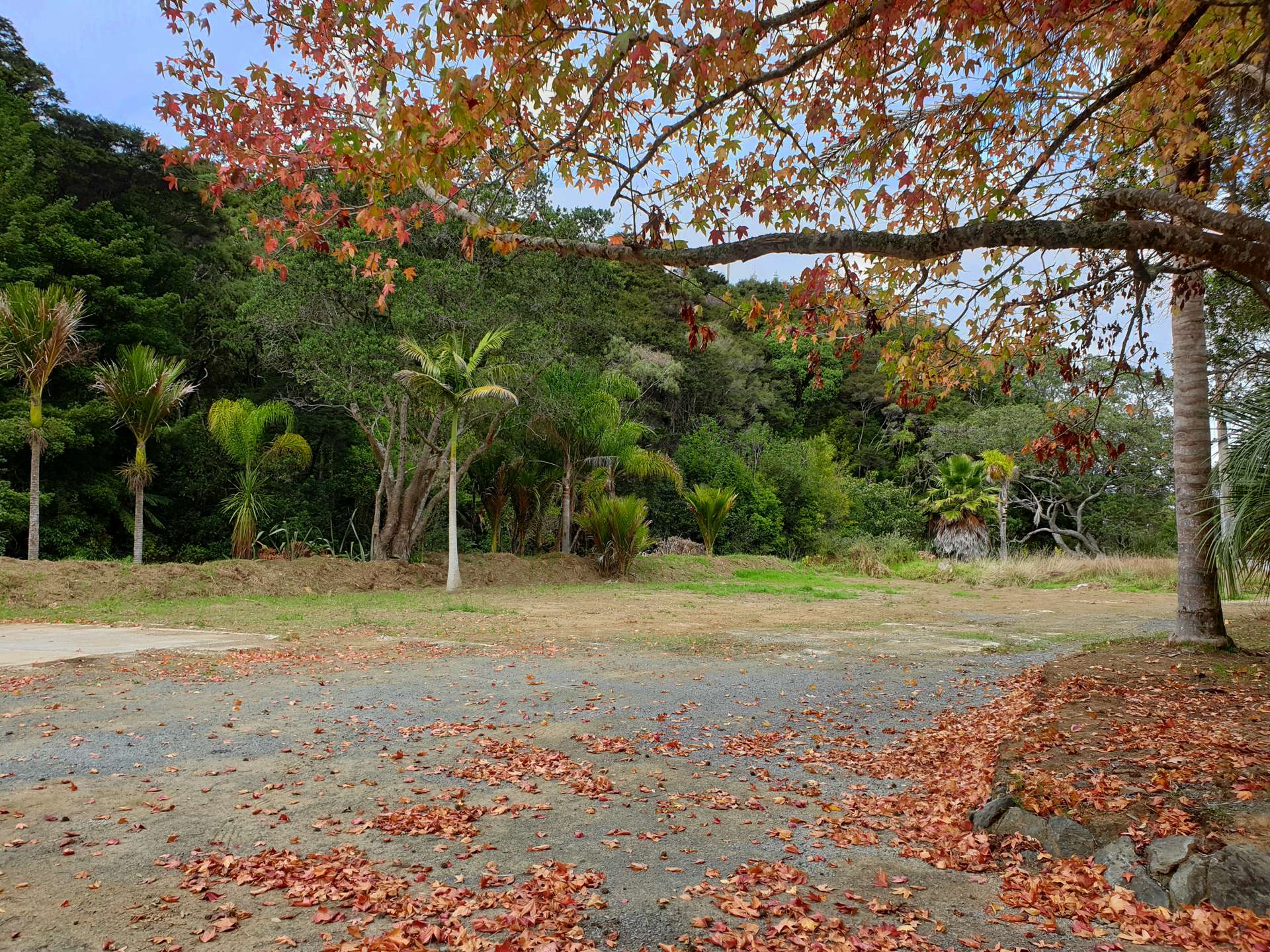 42 Coxhead Creek Road Whangateau_0