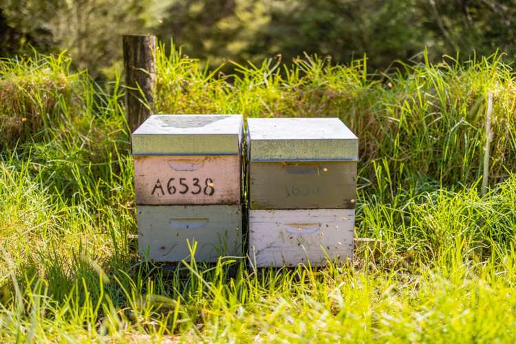 1698 Russell Road Hukerenui and Surrounds_40