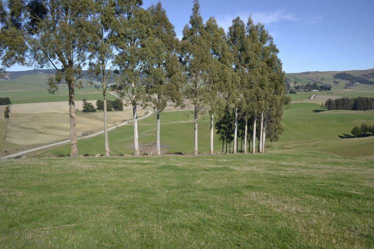 Waitepeka School Road Clutha_6