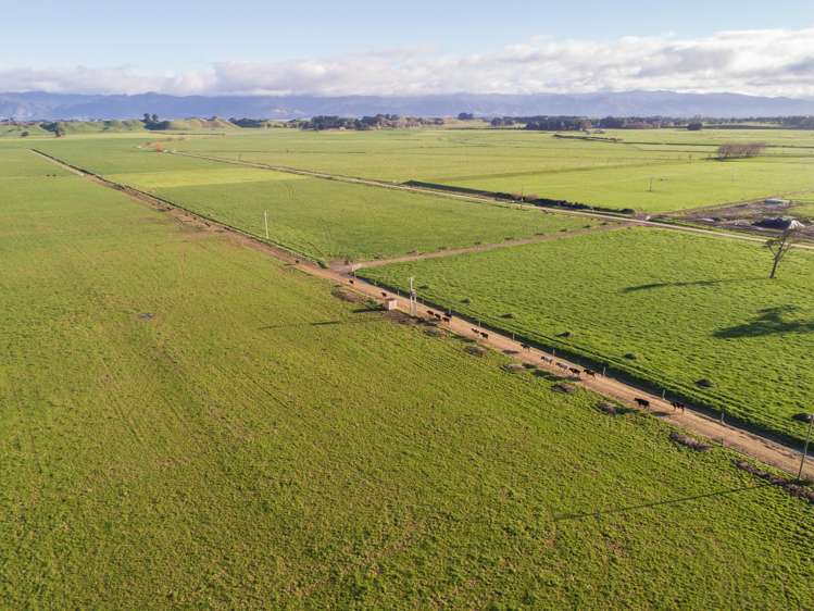 Kahutara Road Pirinoa_7