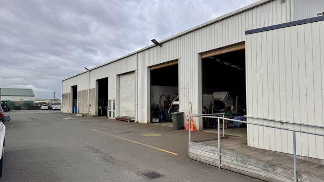 6 Macrae Avenue Mt Maunganui_2