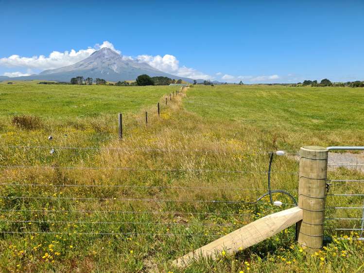 1528 Wiremu Road Rahotu_22