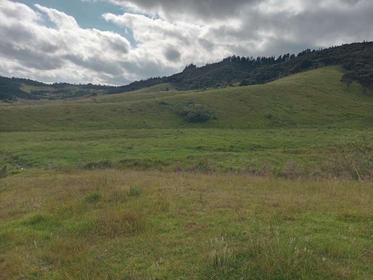 Lot 2 & 3/36 Te Moho Road_5