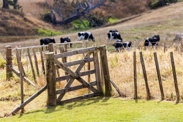 47 Binns Road Waiuku_15