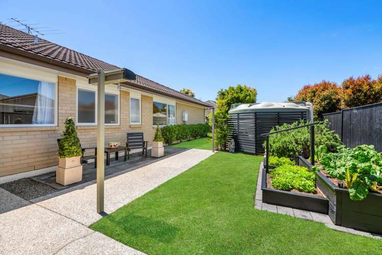 9 Pony Park Place Beachlands_21