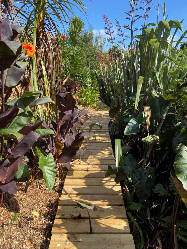 15 Urutawa Drive Kerikeri_10