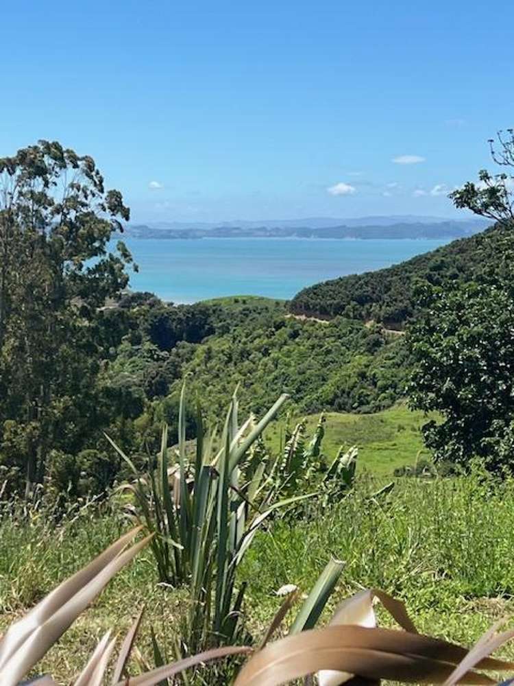 Whakapirau Road Kawhia_18