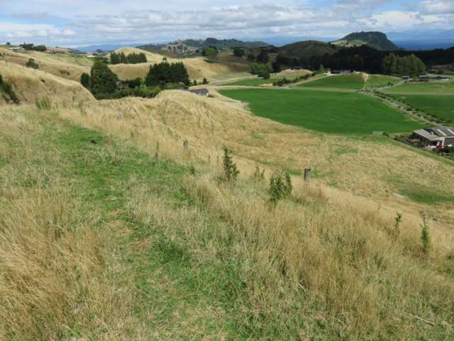 999 Mapara Road Kinloch_2