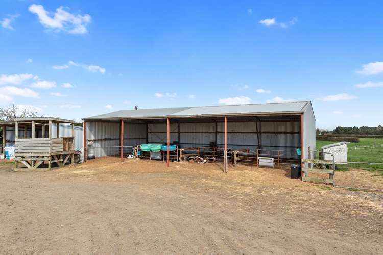 711 Horrell Road Morrinsville_9