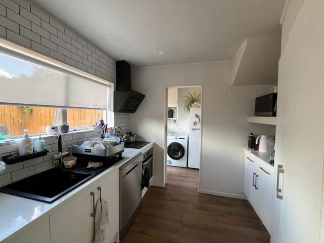 2/41 Seabrook Avenue New Lynn_1