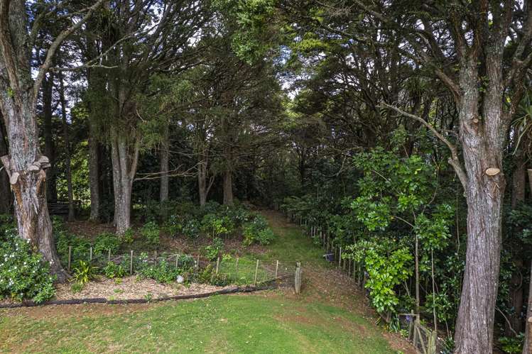 321 Vinegar Hill Road Kauri_34