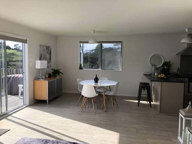 358a Horseshoe Bush Road Dairy Flat_3