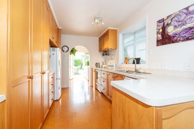 57 Ellis Avenue Mount Roskill_3