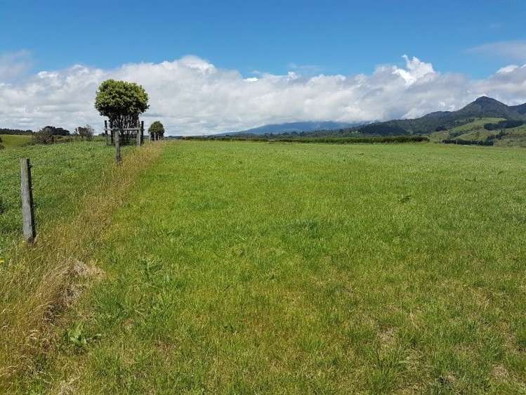 80 Koru Road Omata_8