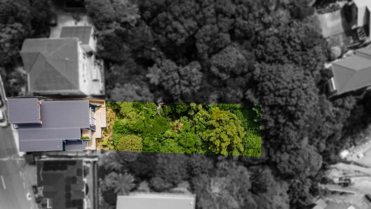 7 Birdwood Street Karori_26