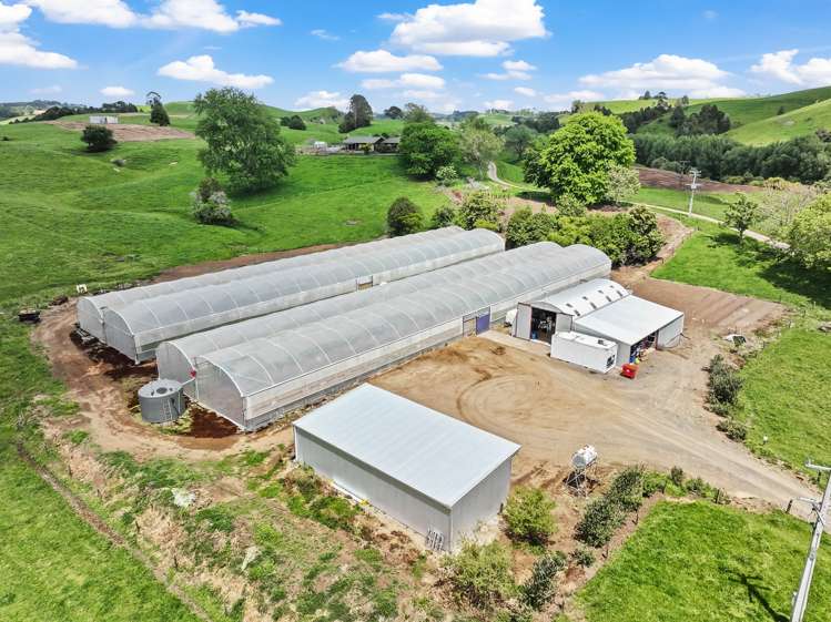 591 Turitea Road Otorohanga_24