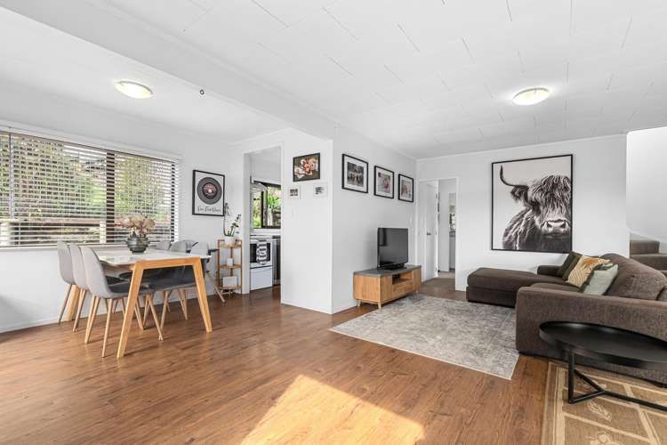 25a Landview Road Road Parkvale_4