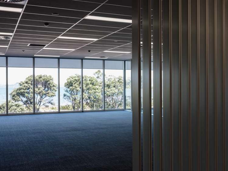 81 The Esplanade Petone_8