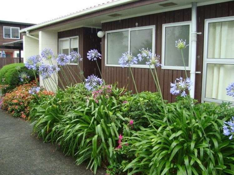 3/7 Balmain Road Birkenhead_0