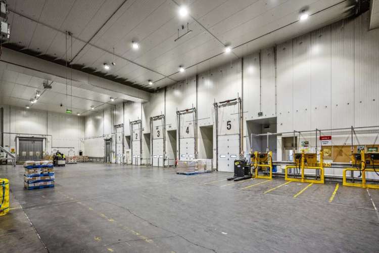 17 Nesdale Avenue Wiri_18