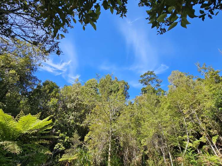 215 Clifton Road Kaiata_33