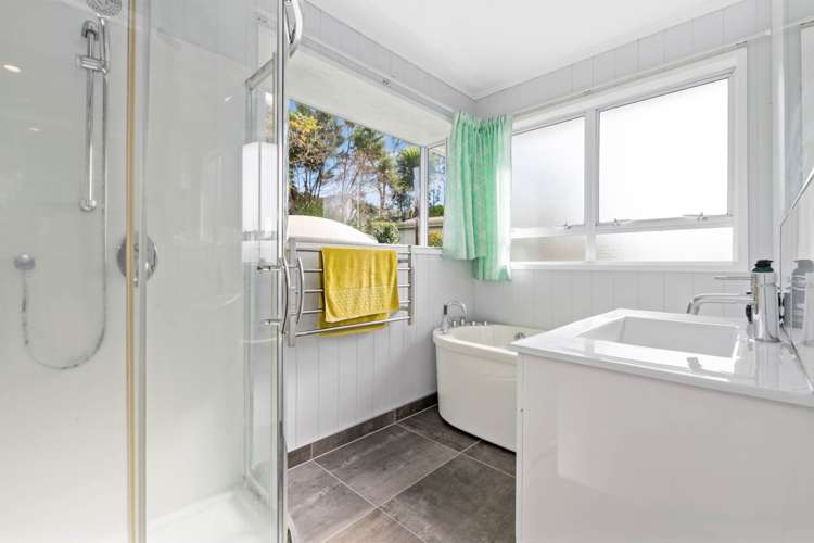 443 Pine Valley Road Dairy Flat_9