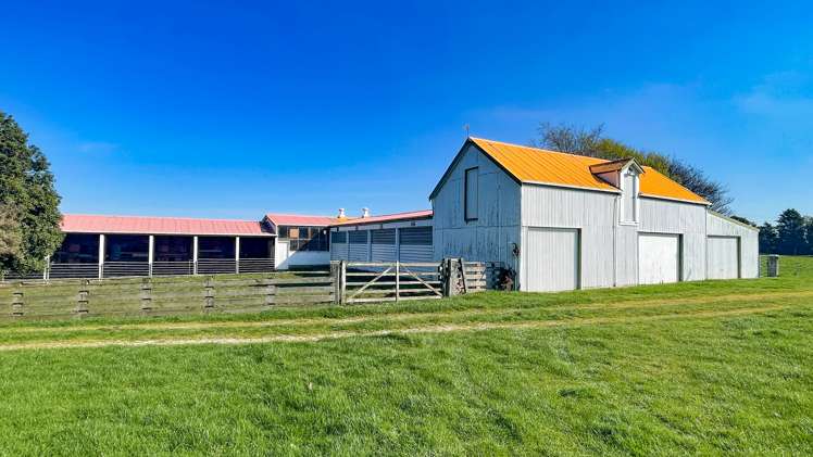 57 Island Edendale Road Edendale_5