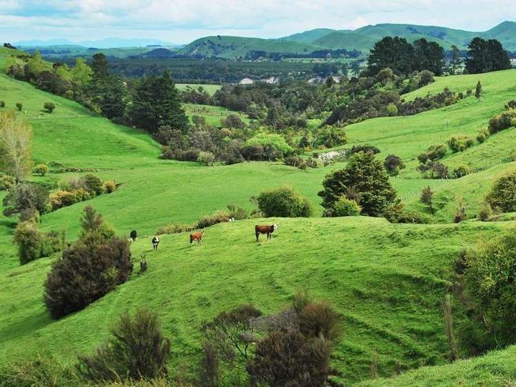 428 West Road Mauriceville_20