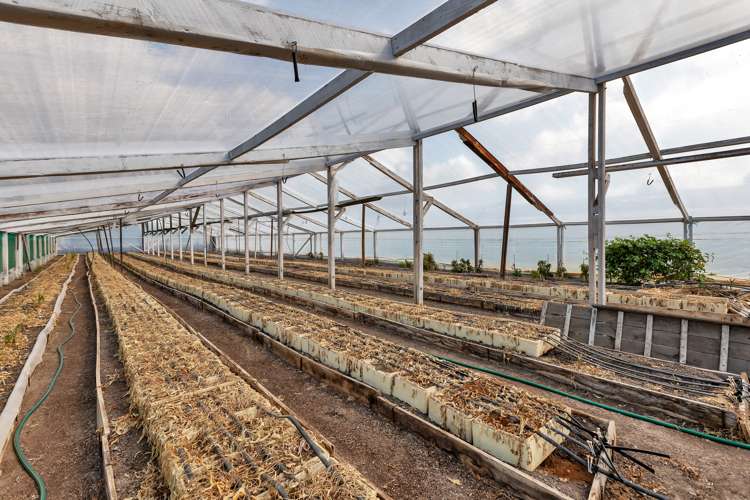 72 Mccullough Road Mangapai and Surrounds_31