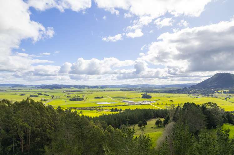 422 Apotu Road Kauri_39