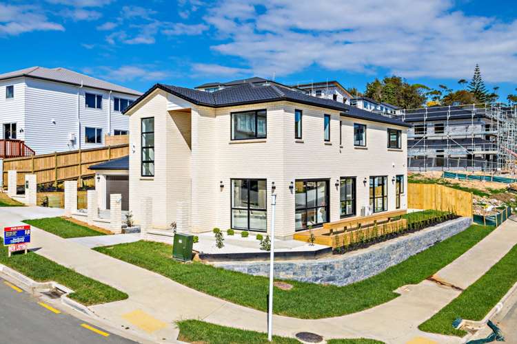 115 Argento Avenue Flat Bush_0