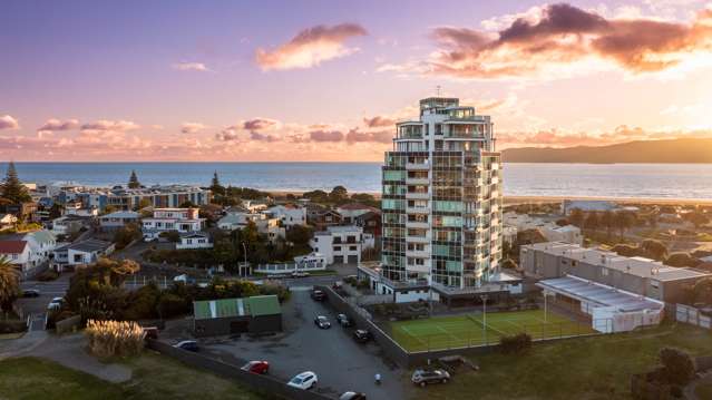 Birds Eye View Over Kapiti