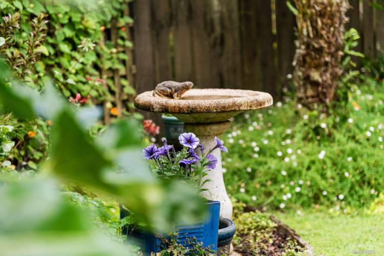 1/66 Picasso Drive West Harbour_16