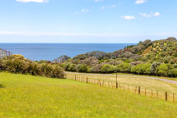 443 Onemana Drive Onemana_14