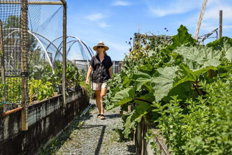 1 Ocean View Terrace Orewa_26