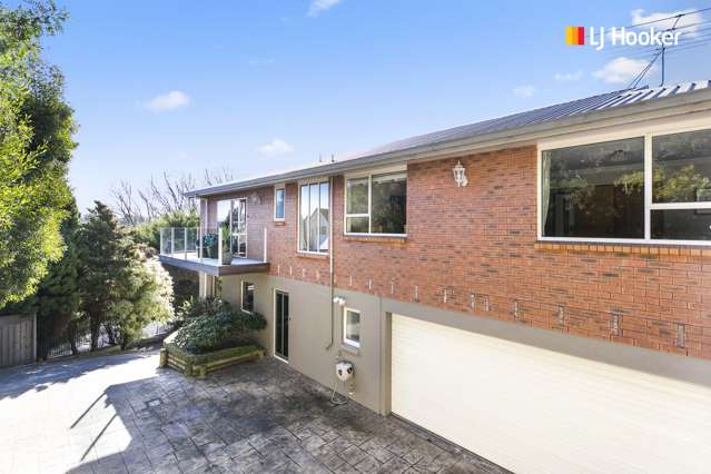 41 Aytoun Street Waverley_1