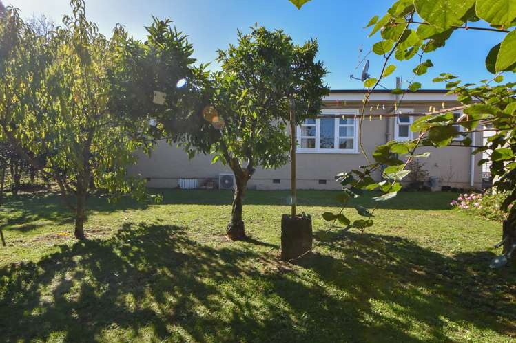 9 Davy Street Carterton_18