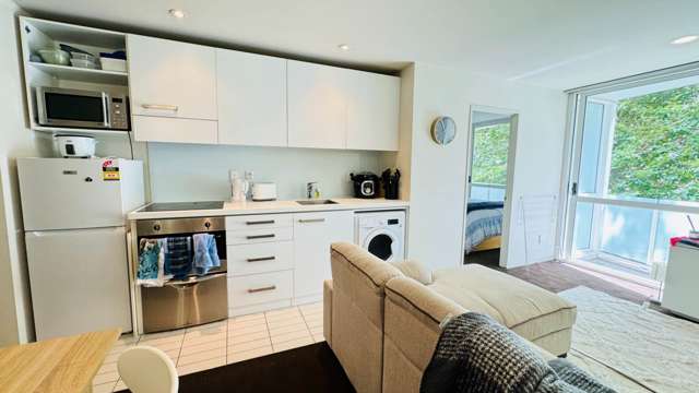 401/7 Eden Crescent Auckland Central_3