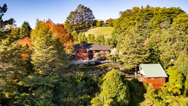 Paradise in the Waikino Hills