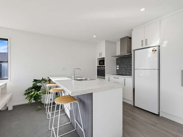 59 Kate Sheppard Drive Rolleston_2